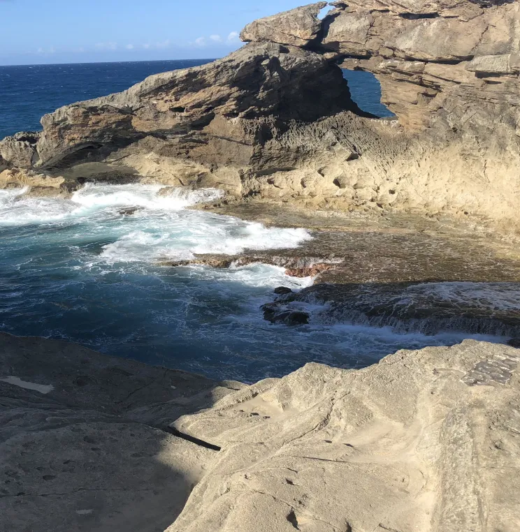 Analisis del Mercado internacional Blog